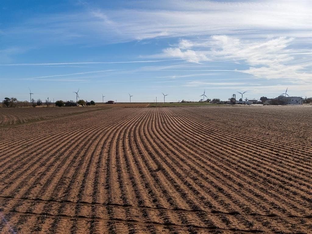 16 acres in Lynn County - photo 22