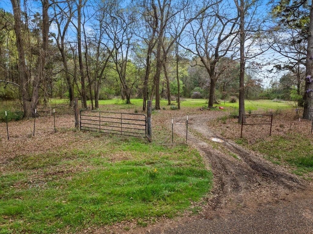 Cr1124 Old HWY 11 Road