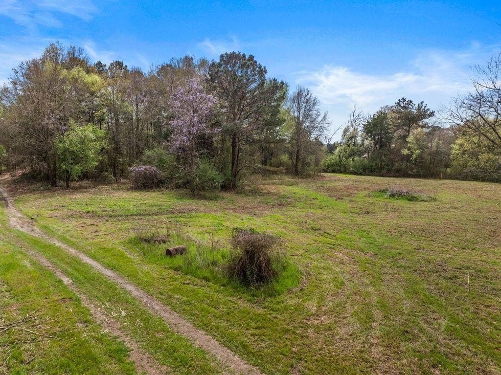 65.17 acres in Morris County - photo 4
