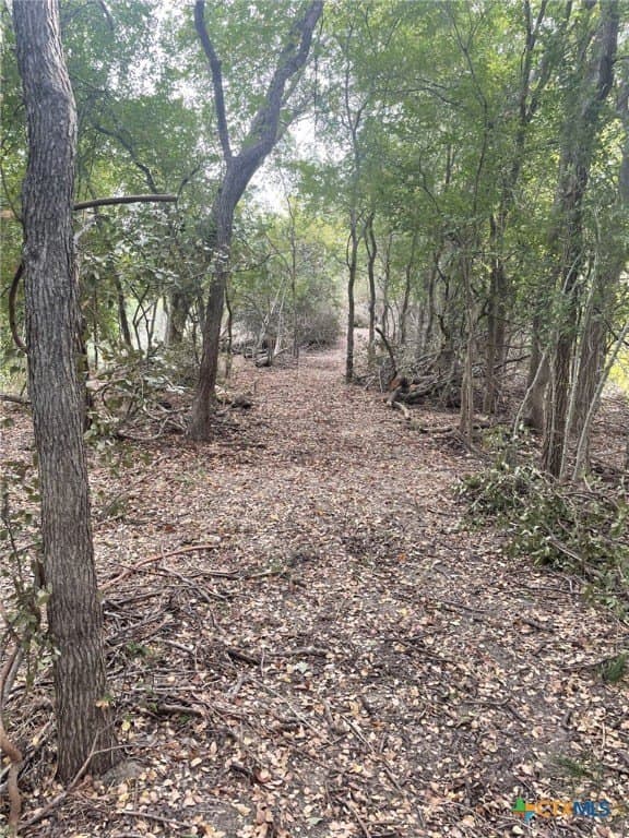 233.08 acres in Bell County - photo 16