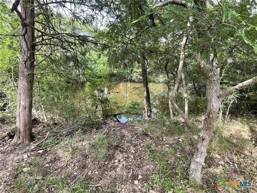 233.08 acres in Bell County - photo 14