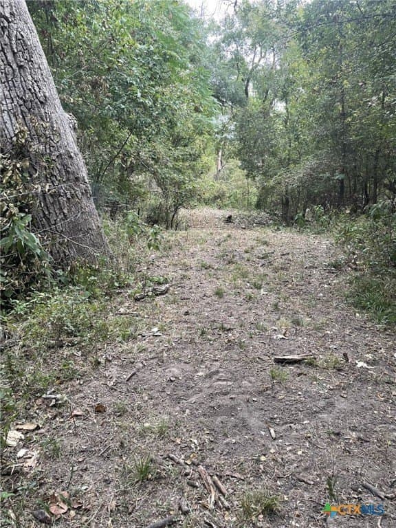 233.08 acres in Bell County - photo 22