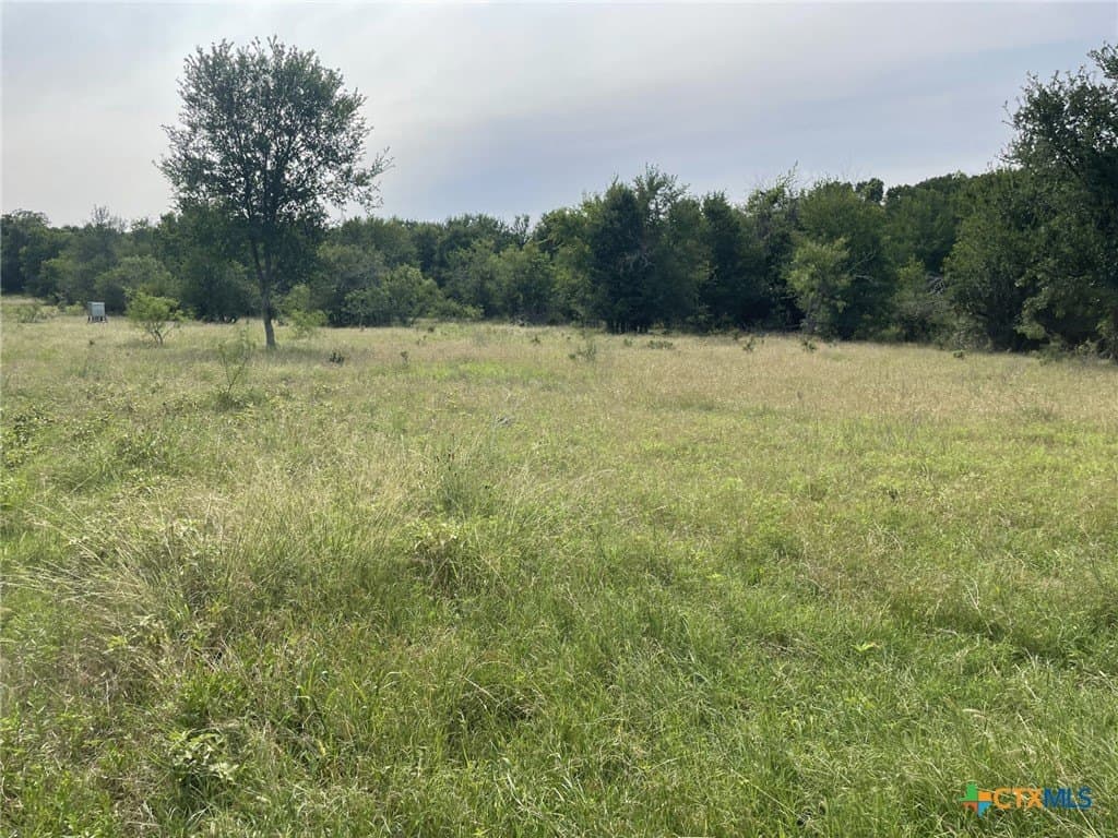 233.08 acres in Bell County - photo 3