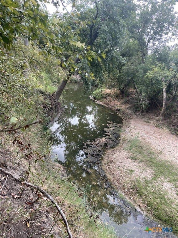 233.08 acres in Bell County - photo 10