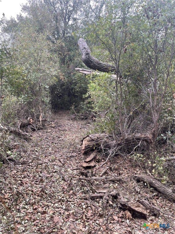 233.08 acres in Bell County - photo 19