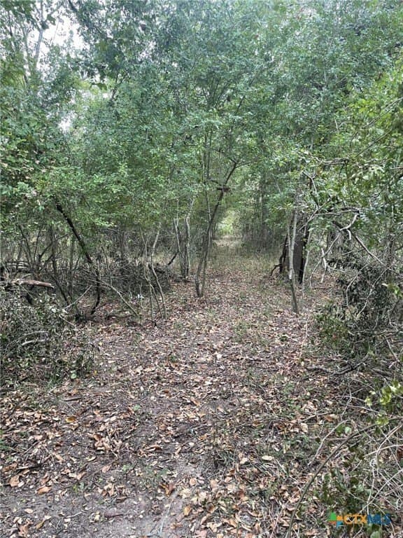 233.08 acres in Bell County - photo 21