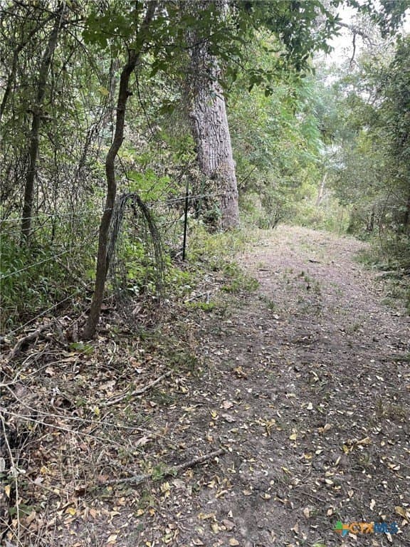 233.08 acres in Bell County - photo 23