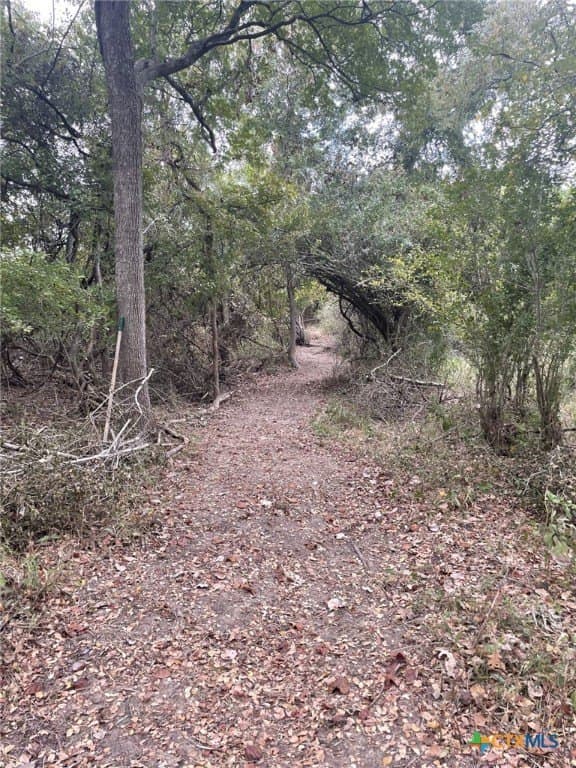 233.08 acres in Bell County - photo 18