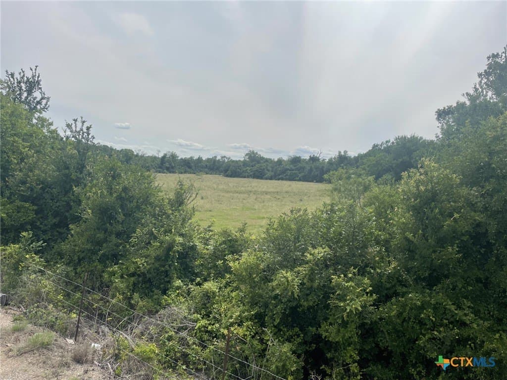 233.08 acres in Bell County - photo 2
