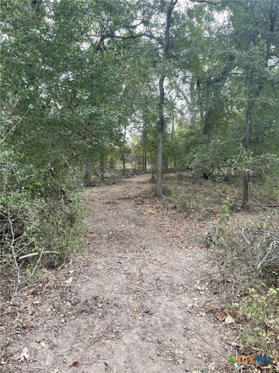 233.08 acres in Bell County - photo 17