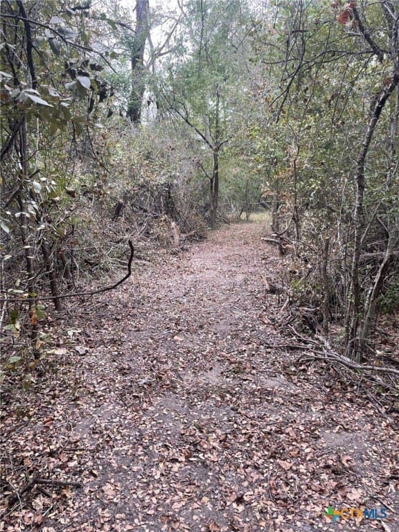 233.08 acres in Bell County - photo 20