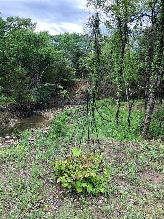 15.82 acres in Grayson County - photo 25