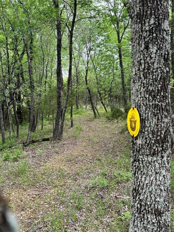 15.82 acres in Grayson County - photo 24