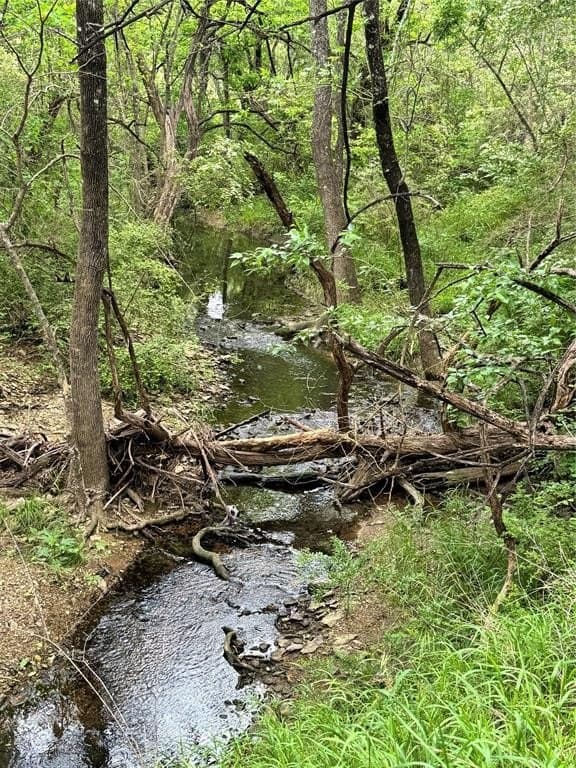 15.82 acres in Grayson County - photo 10