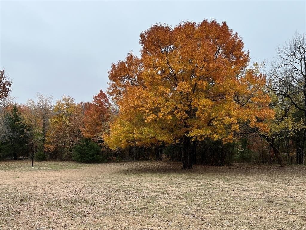 15.82 acres in Grayson County - photo 30