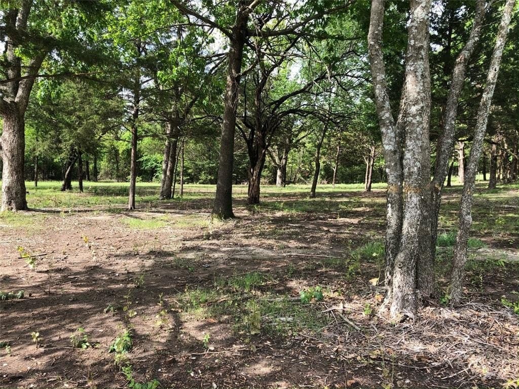 15.82 acres in Grayson County - photo 28