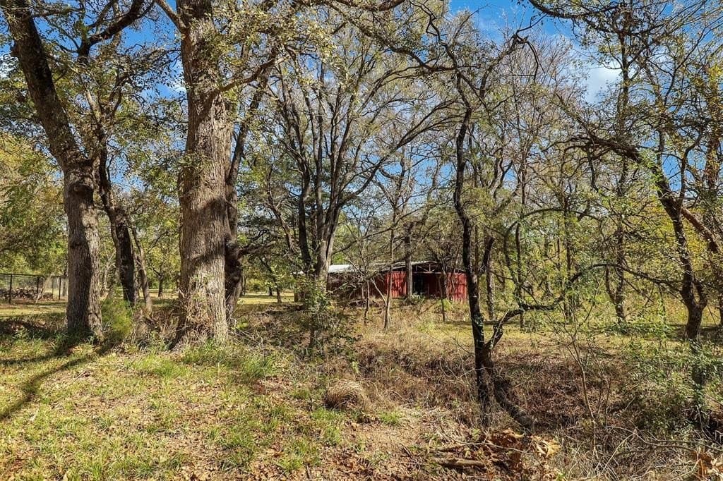 15.82 acres in Grayson County - photo 31