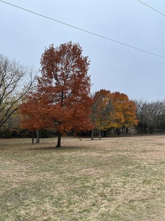 15.82 acres in Grayson County - photo 29