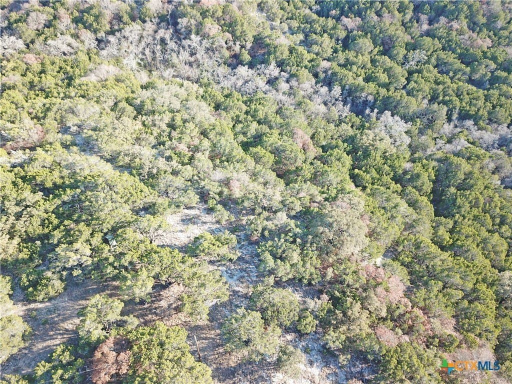 7.21 acres in Coryell County - photo 14