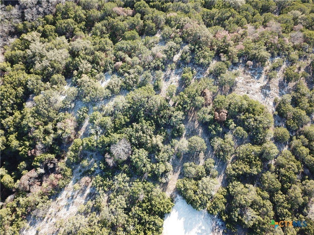 7.21 acres in Coryell County - photo 17