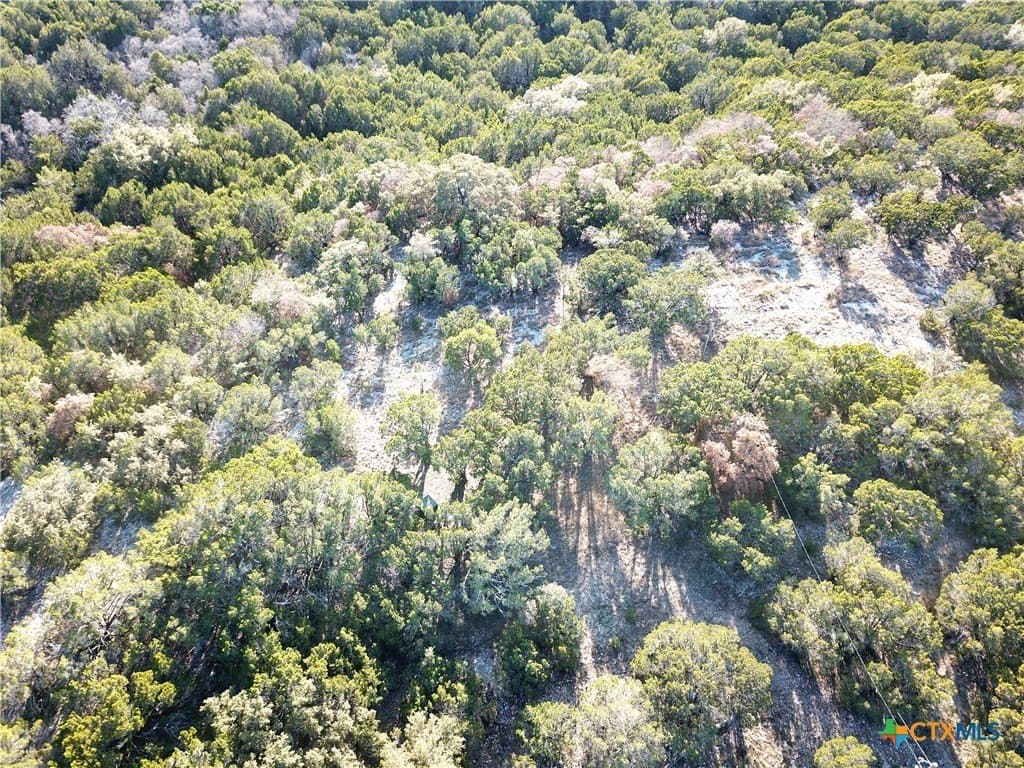 7.21 acres in Coryell County - photo 13