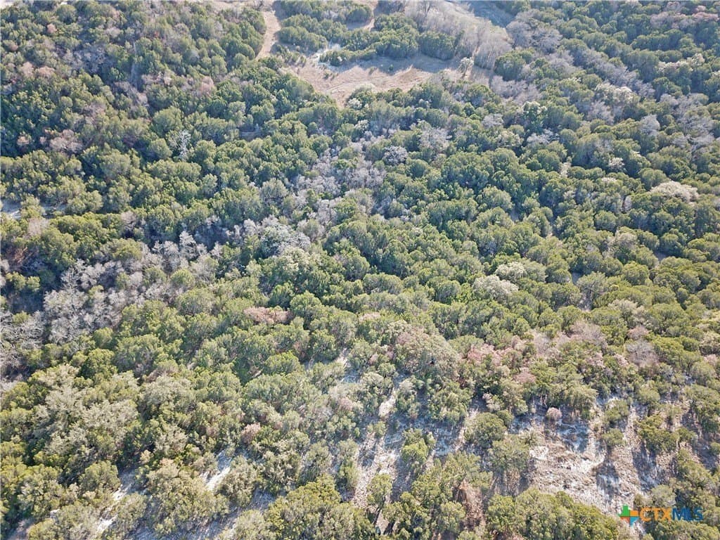 7.21 acres in Coryell County - photo 16