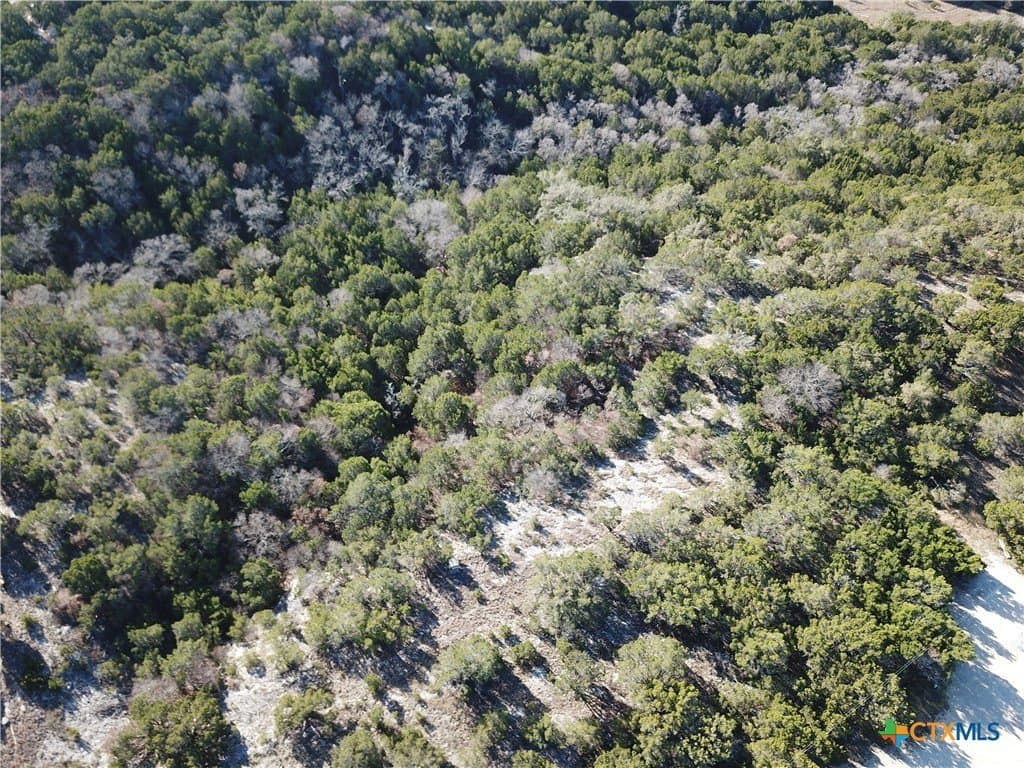7.21 acres in Coryell County - photo 10