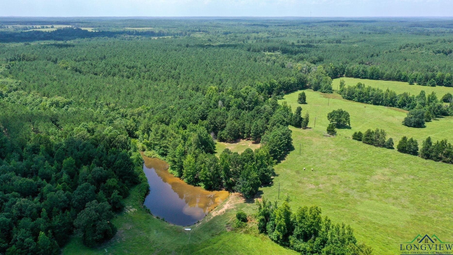 214.66 acres in Cass County - photo 30