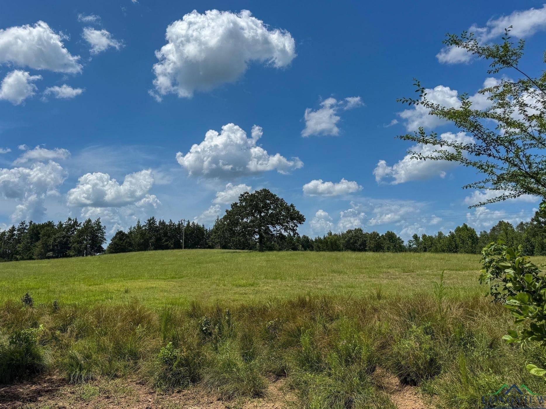 214.66 acres in Cass County - photo 38