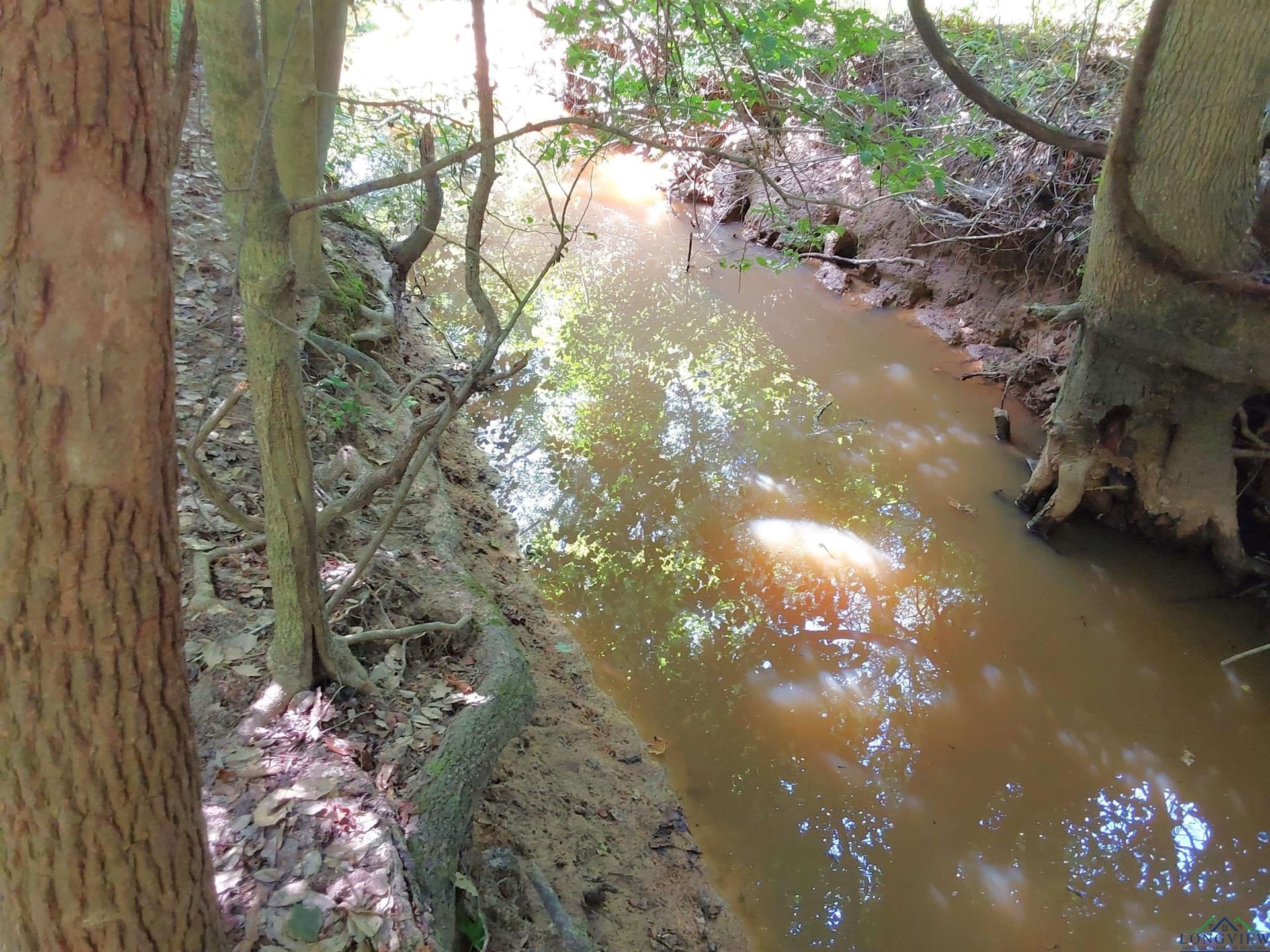 214.66 acres in Cass County - photo 44