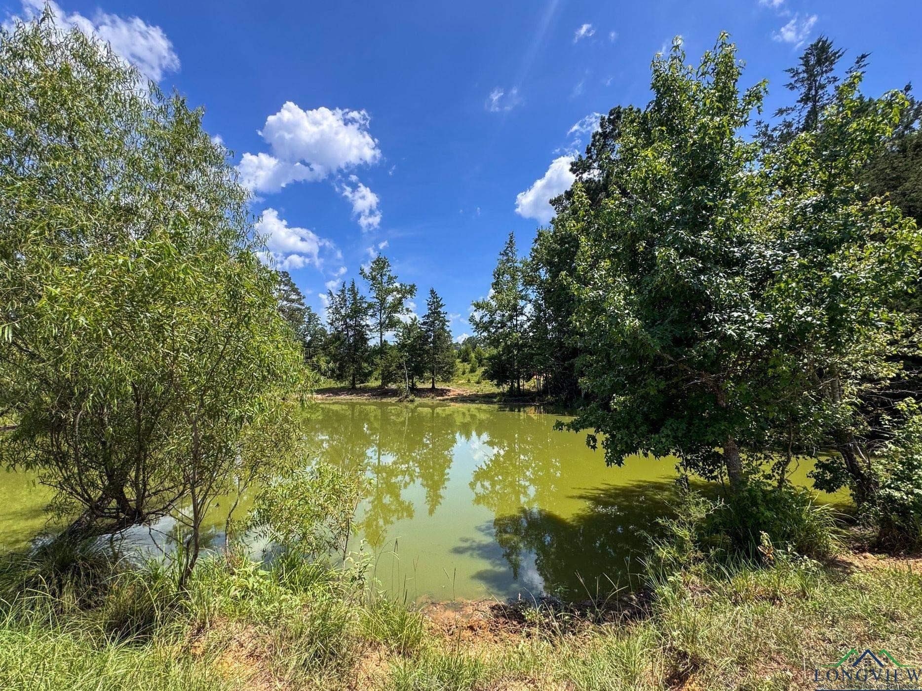 214.66 acres in Cass County - photo 31