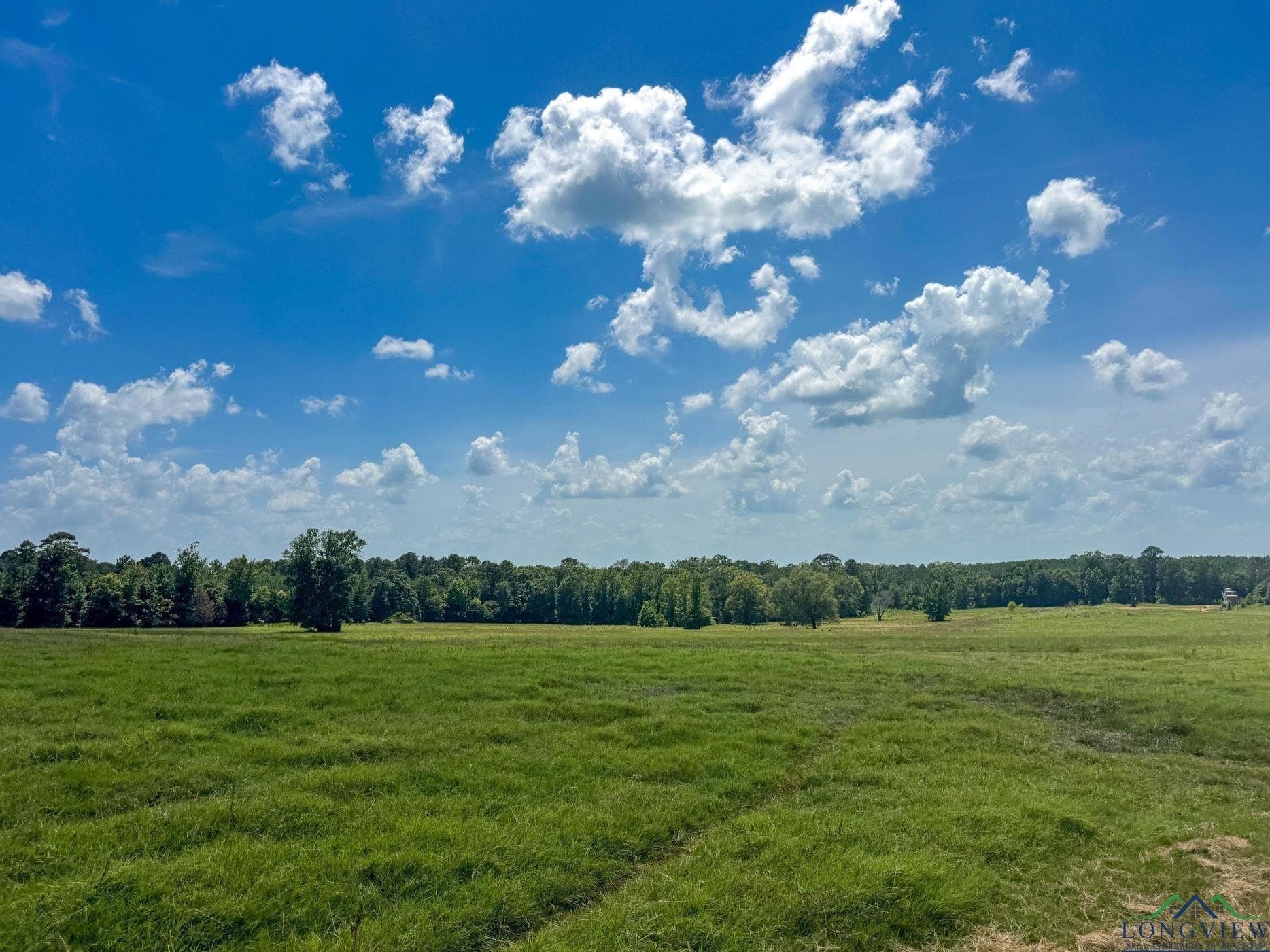 214.66 acres in Cass County - photo 36