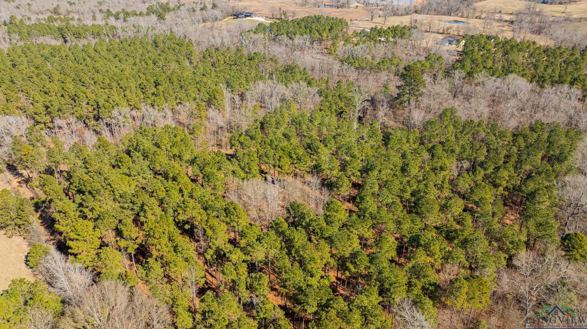 24.16 acres in Upshur County - photo 5