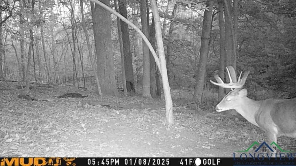 24.16 acres in Upshur County - photo 29