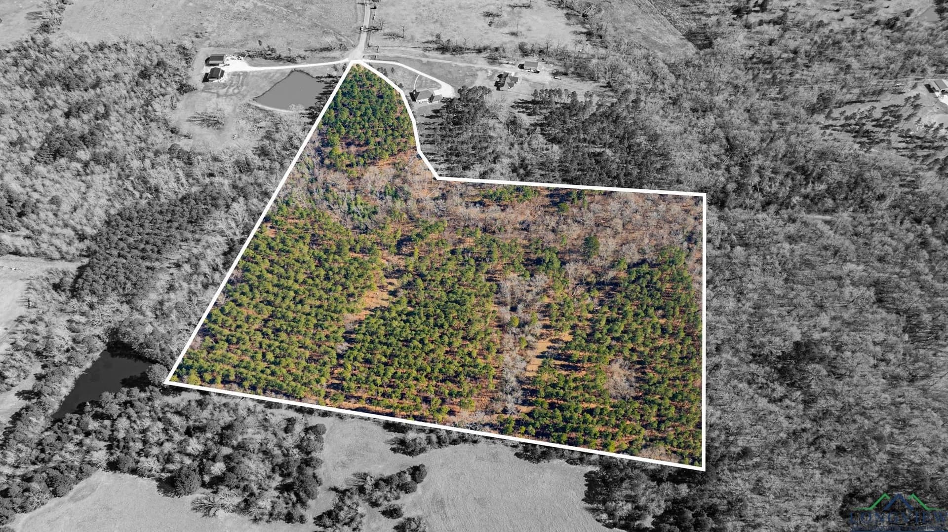 24.16 acres in Upshur County - photo 15