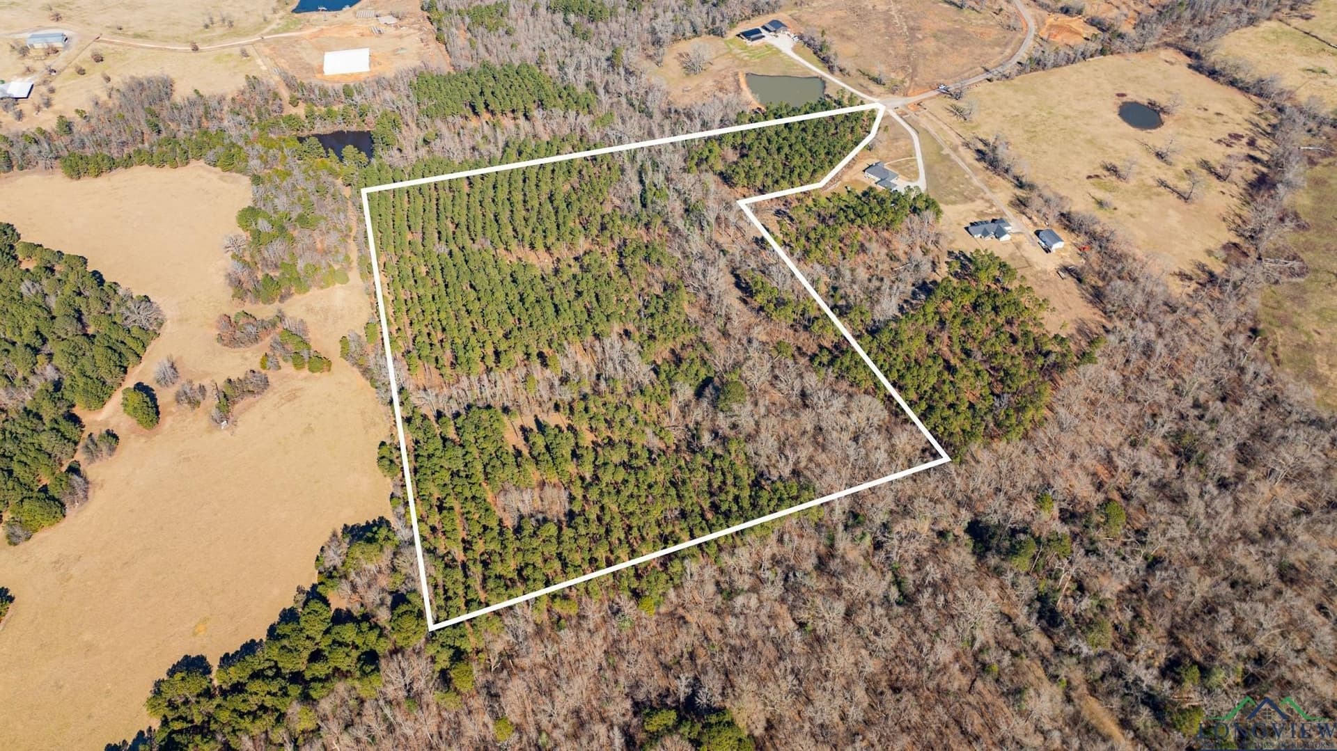 24.16 acres in Upshur County - photo 9