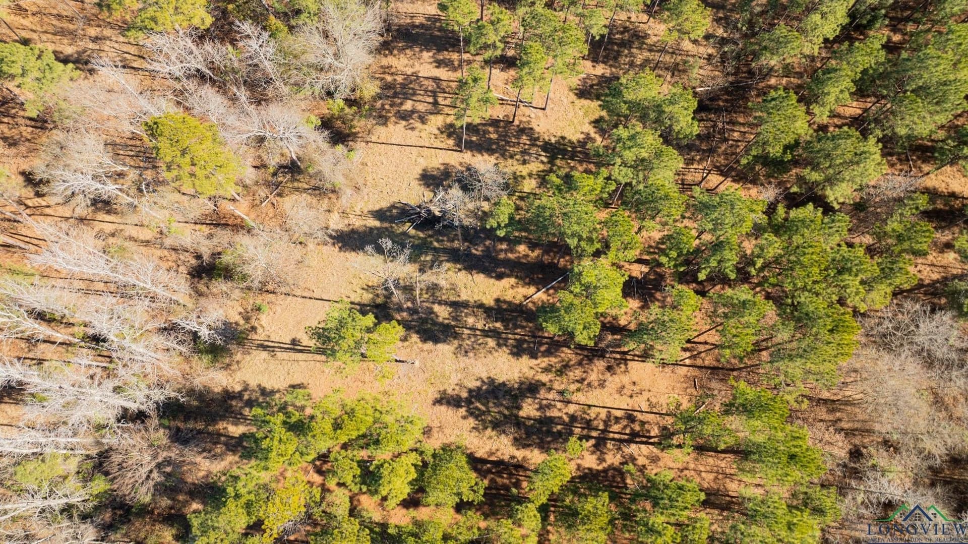 24.16 acres in Upshur County - photo 7