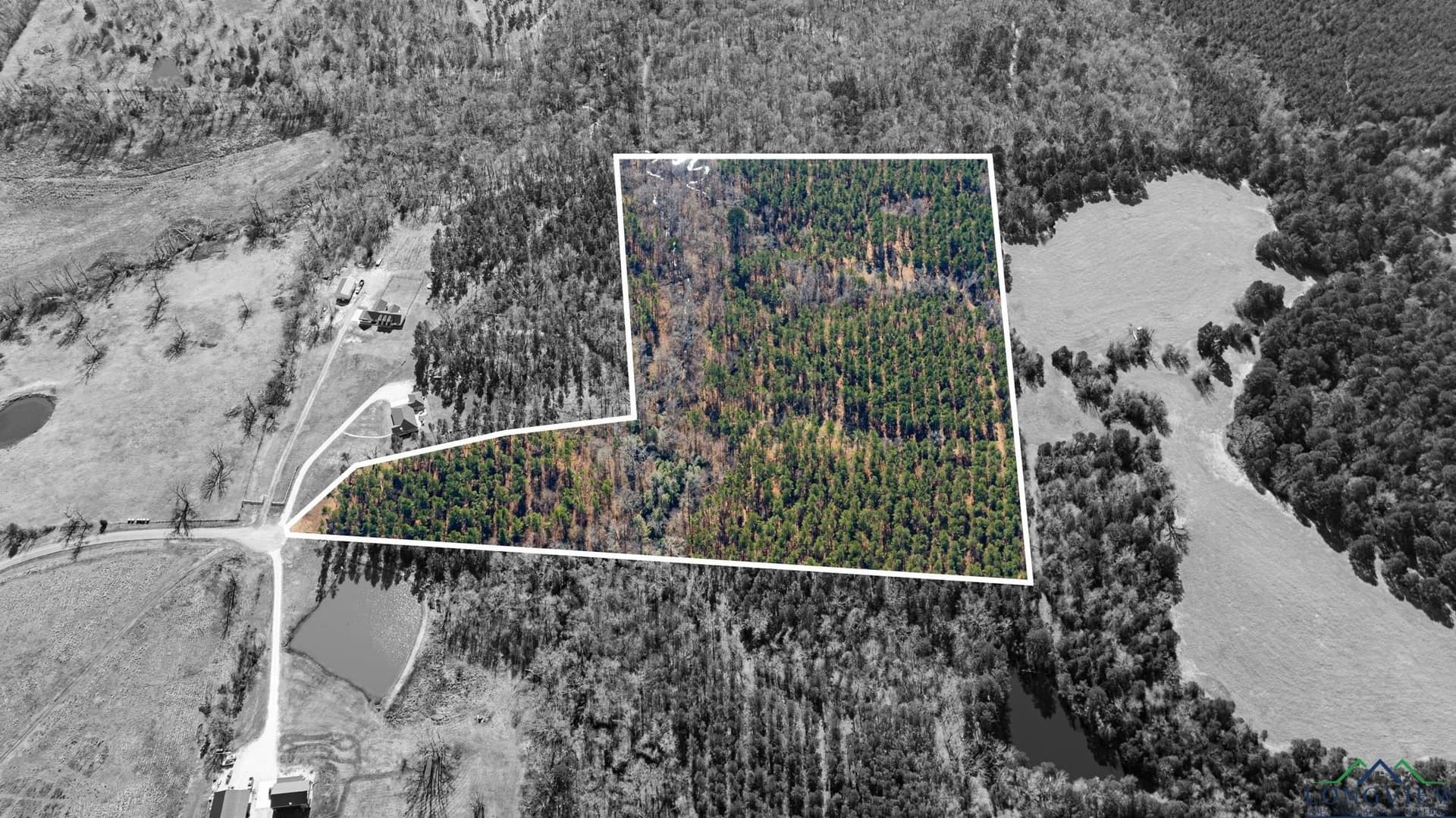 24.16 acres in Upshur County - photo 18