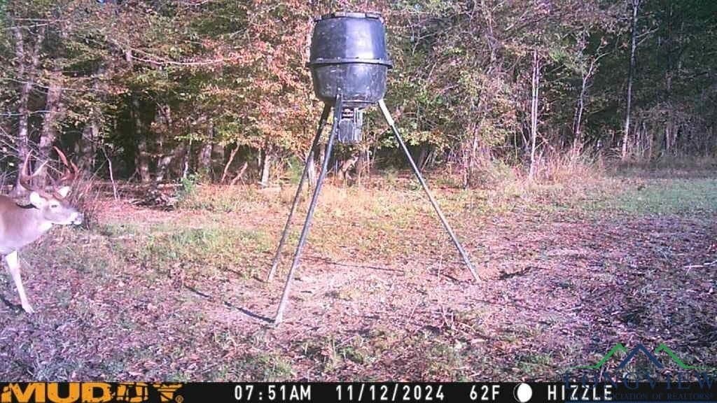 24.16 acres in Upshur County - photo 28