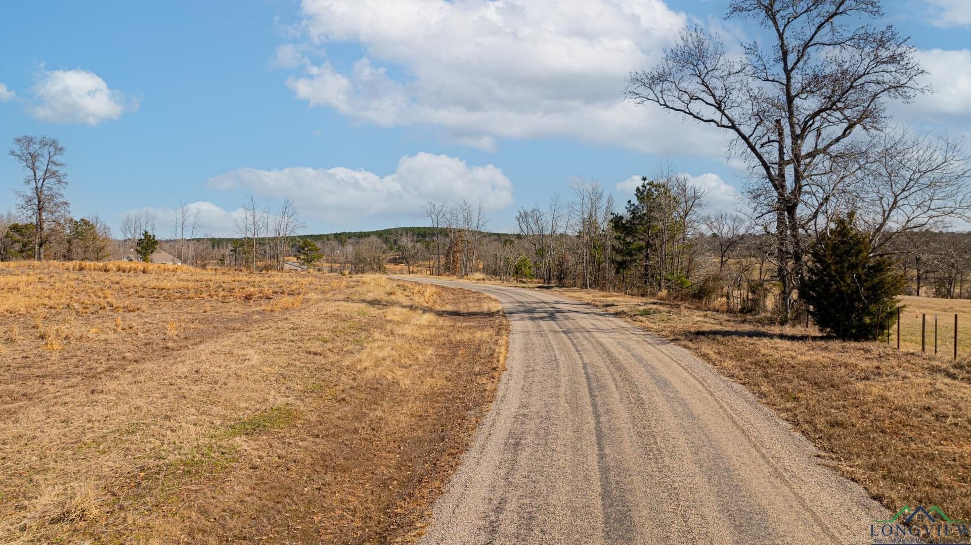 24.16 acres in Upshur County - photo 10