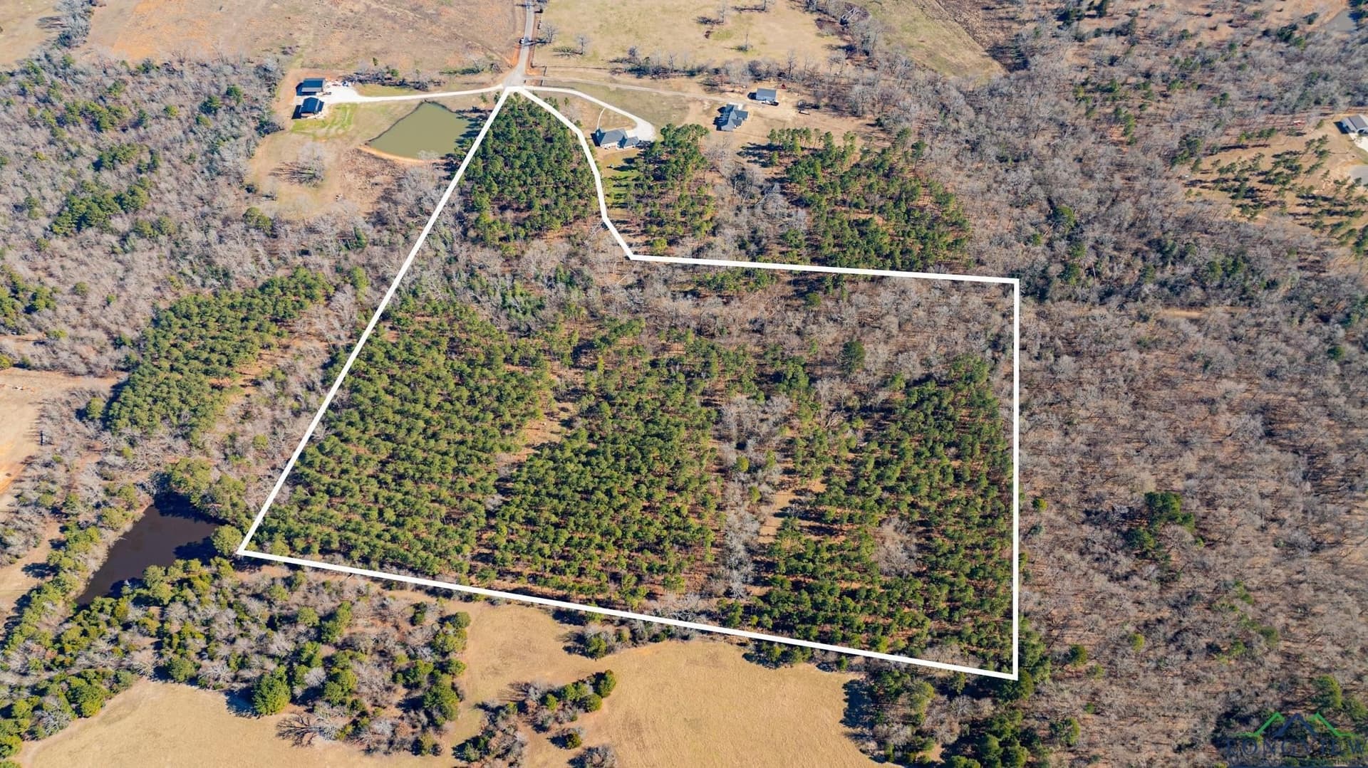24.16 acres in Upshur County - photo 11