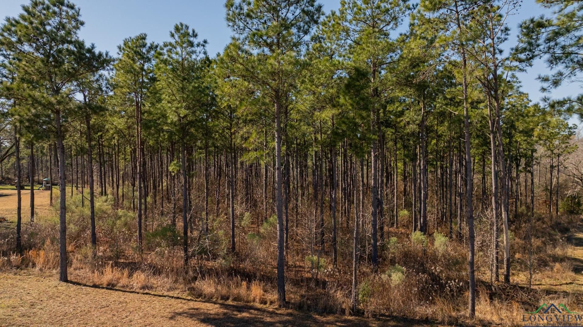 24.16 acres in Upshur County - photo 2
