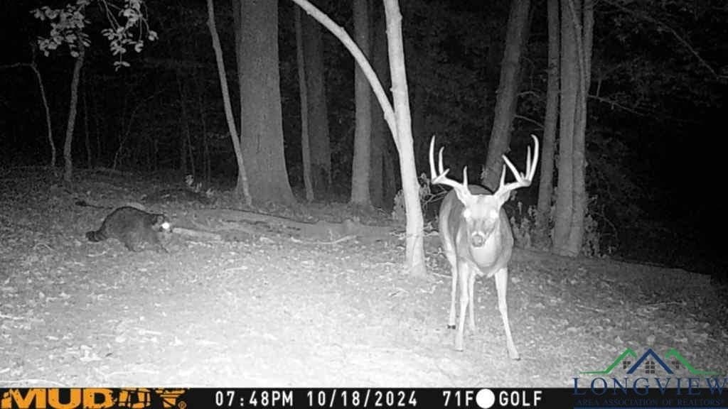 24.16 acres in Upshur County - photo 27