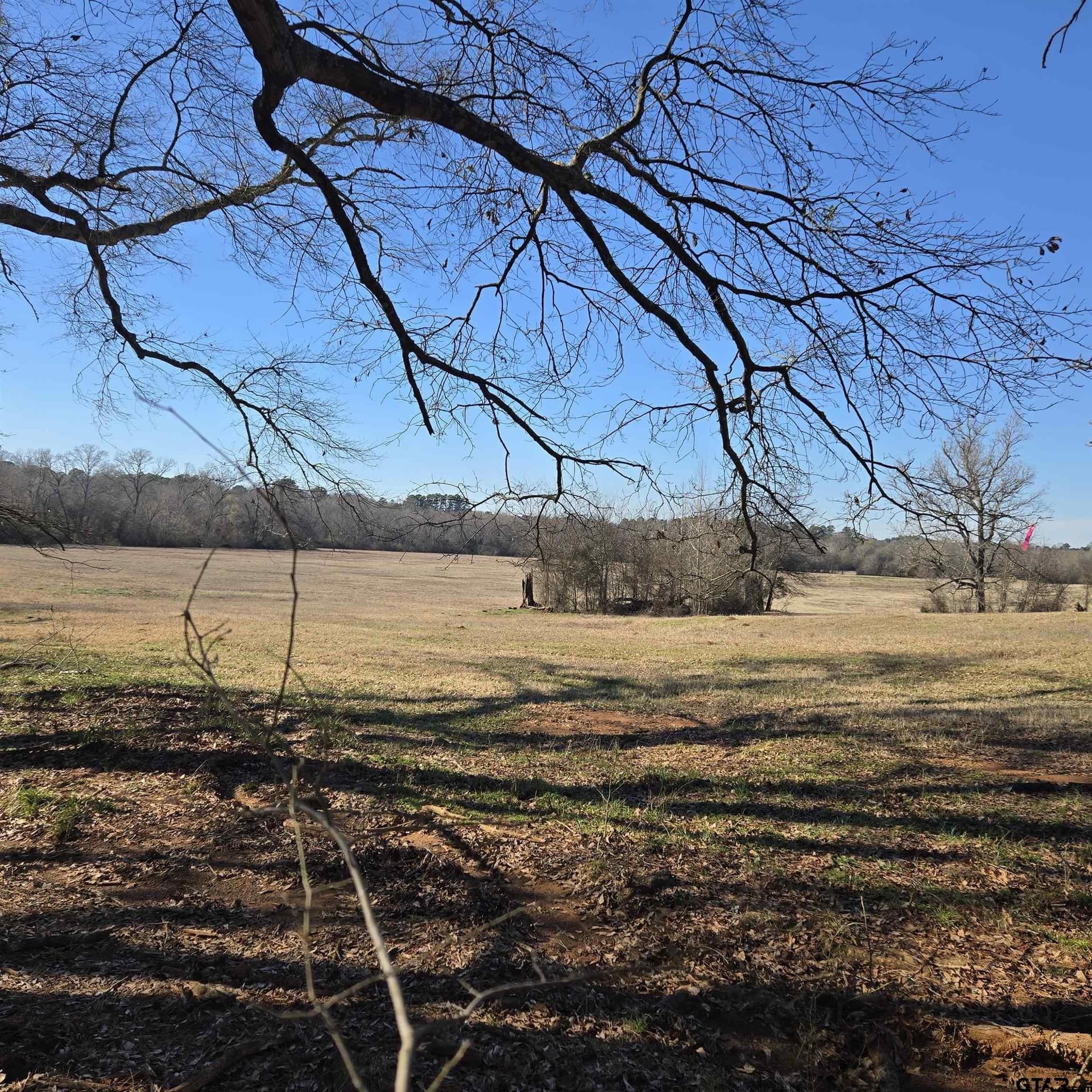 36.35 acres in Smith County - photo 10