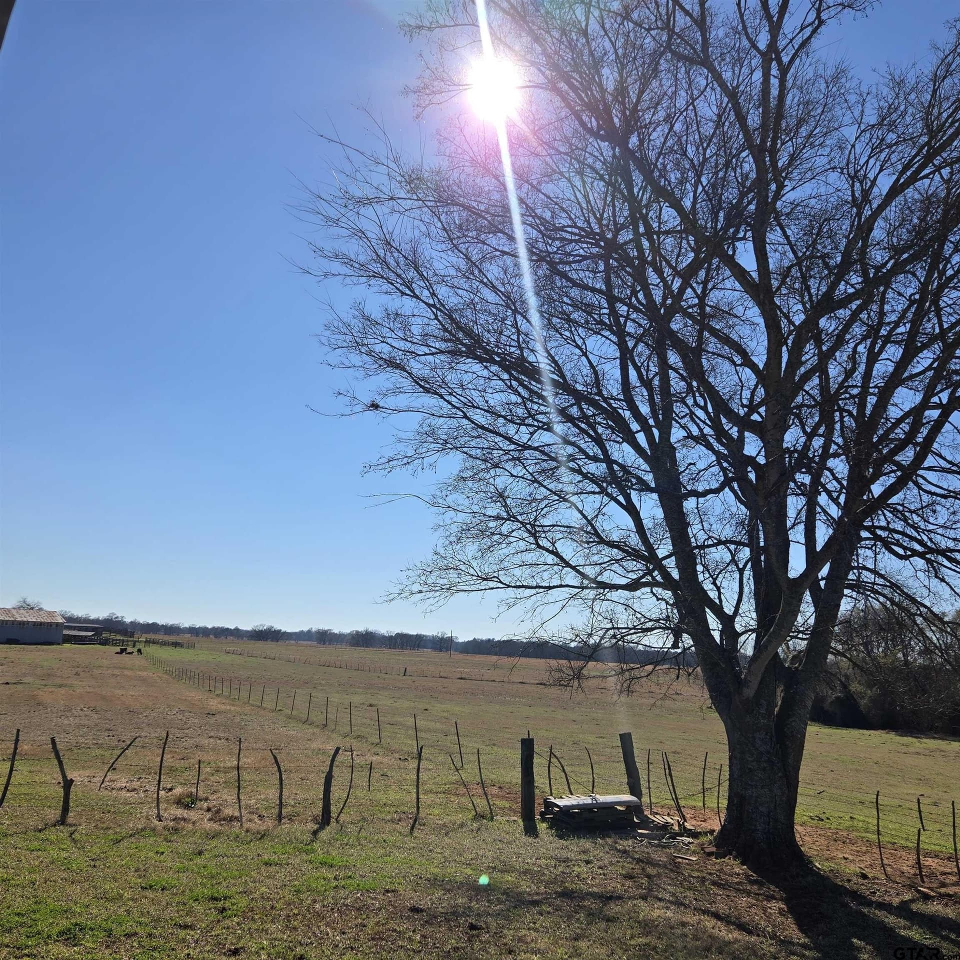 36.35 acres in Smith County - photo 6