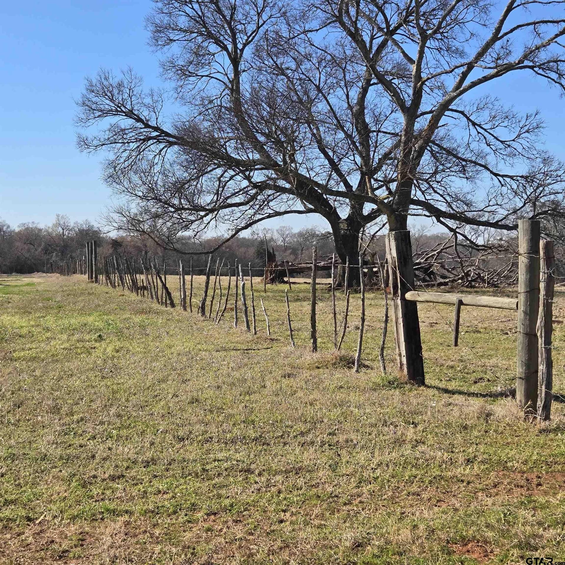 36.35 acres in Smith County - photo 9