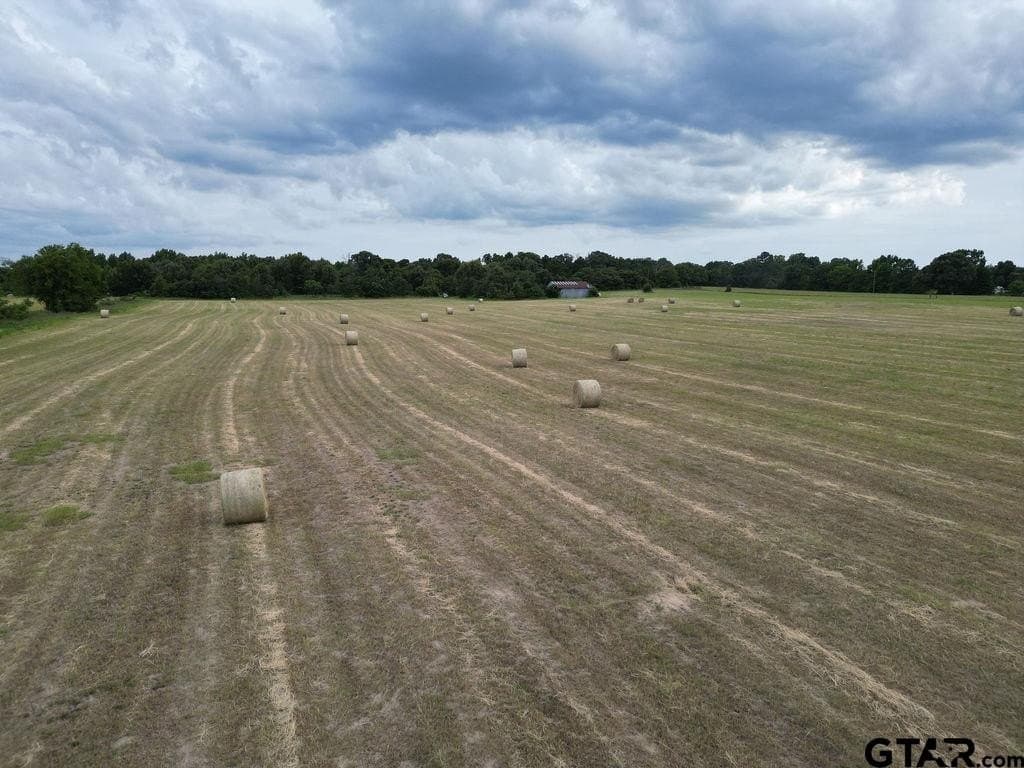 28.31 acres in Wood County - photo 10