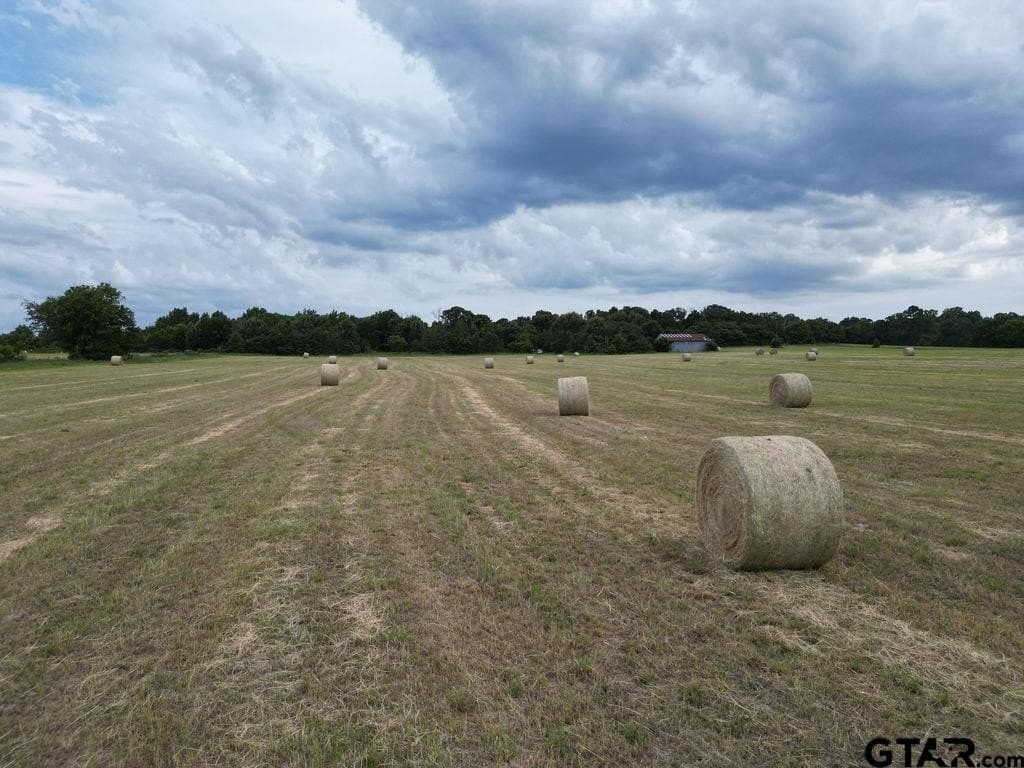 28.31 acres in Wood County - photo 9