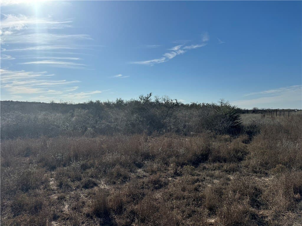 15 acres in Jim Wells County - photo 15