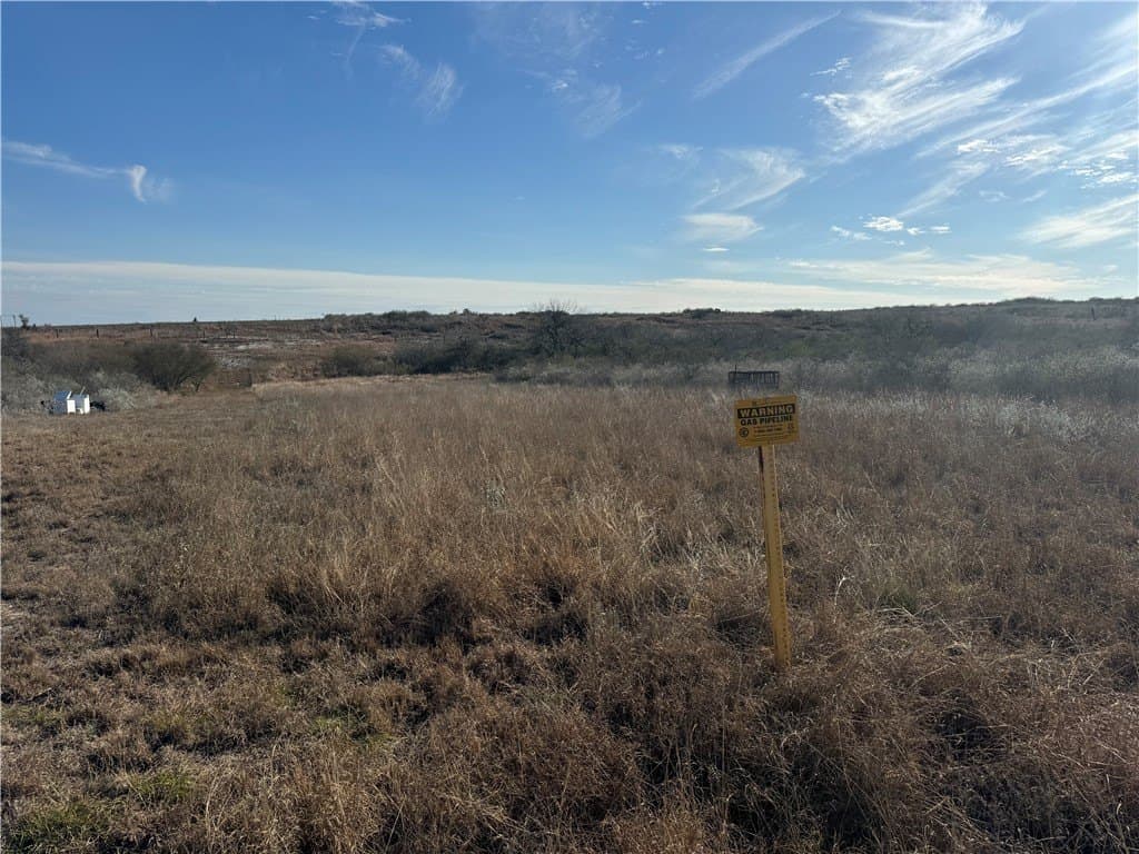 15 acres in Jim Wells County - photo 19